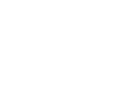 Logo_NChnlsW